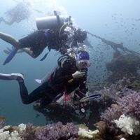 Local Dive Thailand