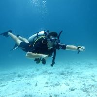 Local Dive Thailand