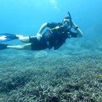 Local Dive Thailand